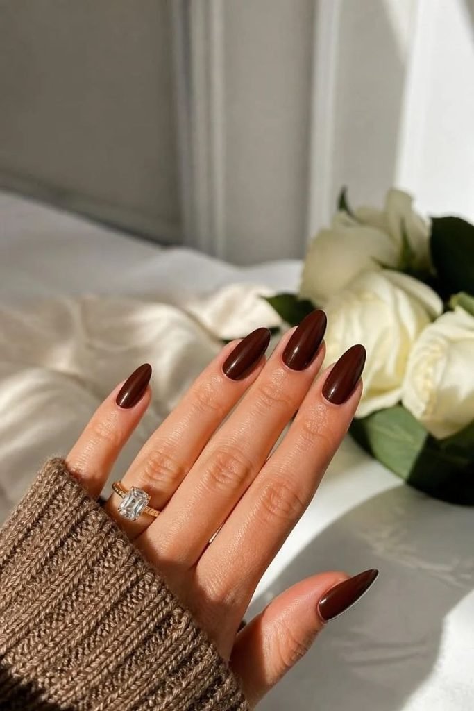 brown-velvet-nails