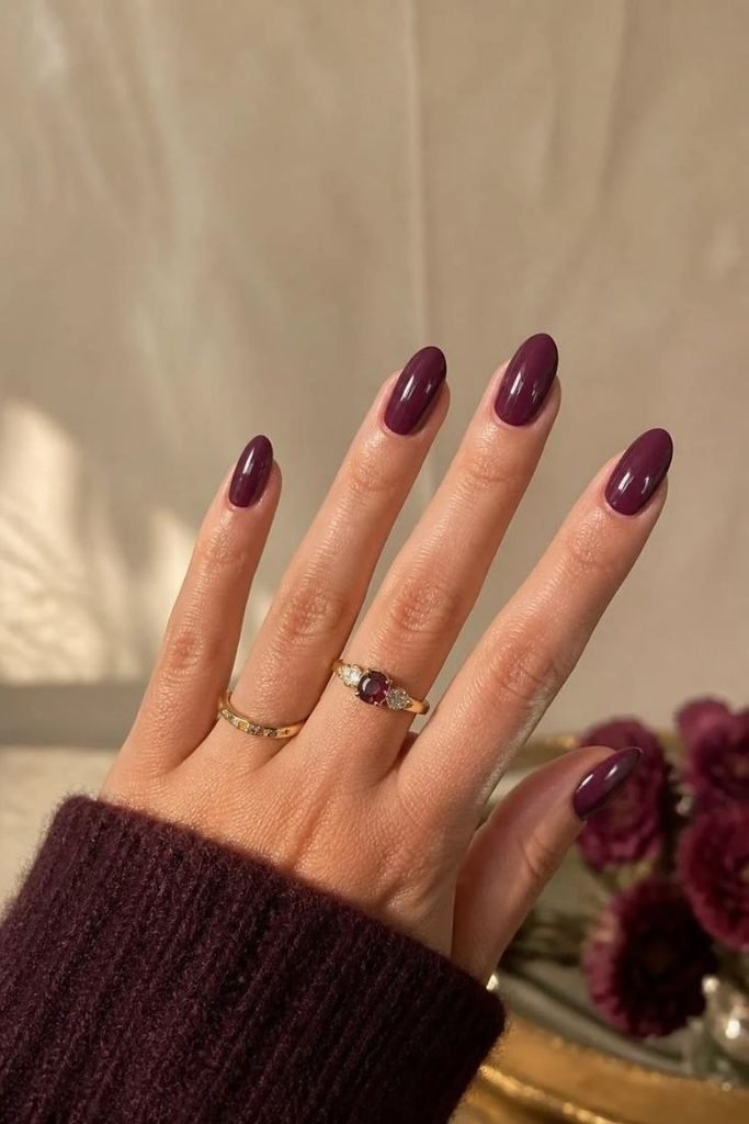 29 Best Cozy Fall Nail Ideas 2026: Chic, Warm & Trendy Autumn Manicures deep-plum-fall-nails