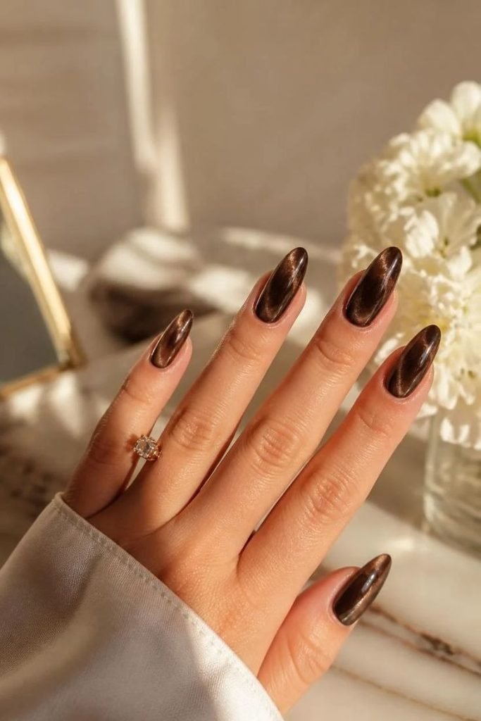 espresso-cat-eye-nails